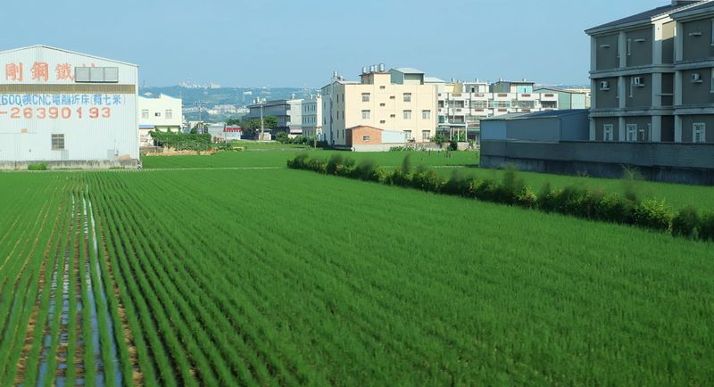 守住乾淨農地 「農產業群聚地區」全台23.4萬公頃 不能納管只能搬