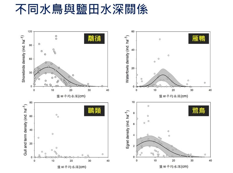 布袋八區廢鹽田濕地 太陽光電產業的主張