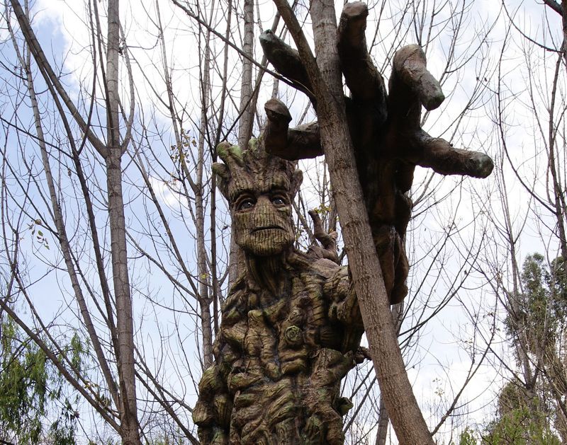 《星際異攻隊》格魯特現身秘魯濕地 吸引成群遊客造訪