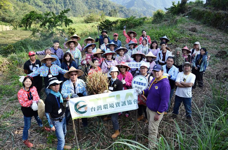 整頓坪林休耕茶園 Timberland志工參與流域收復計畫