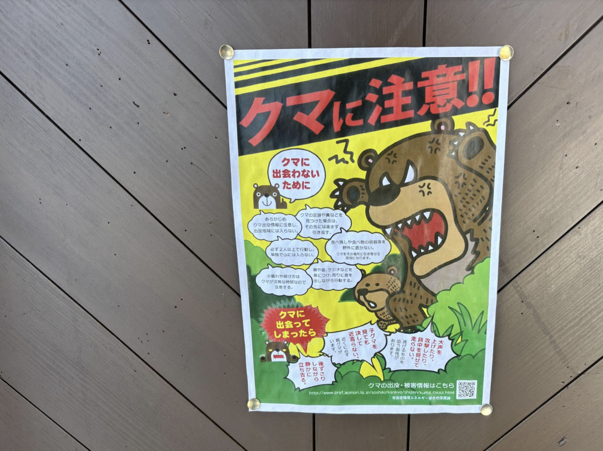 山毛櫸大豐收有望減少熊害？ 日本東北多地發布史上最早「熊出沒警報」
