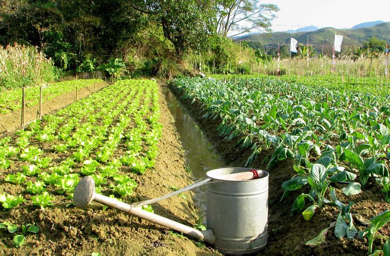 2040年農業淨零起跑 碳權、碳足跡怎麼算？ 擴及食物生產體系是挑戰