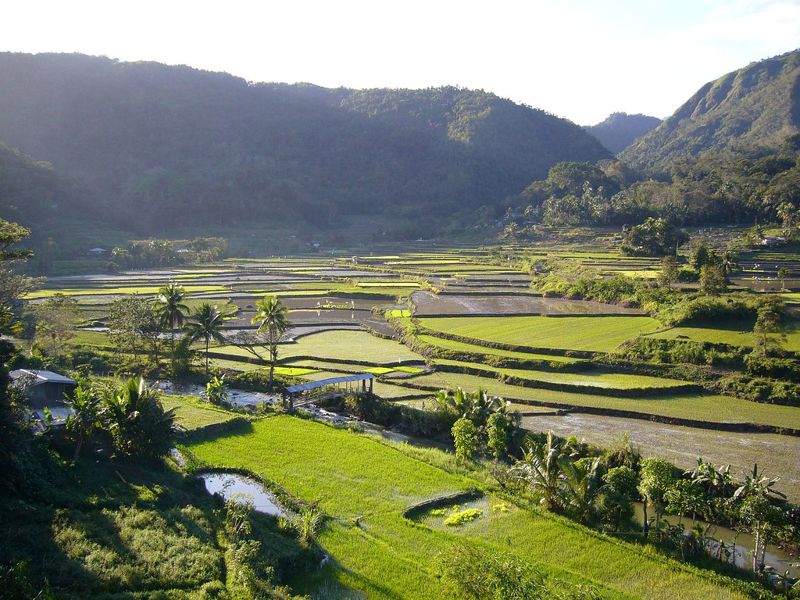 連杜特蒂都推不動 菲律賓《國土法》坐困30年 土地規畫落入地方把持