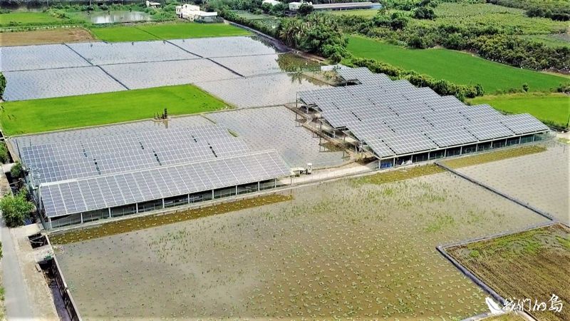 綠能開發頻踩雷 沒有牙齒的「生態檢核」如何即刻救援？