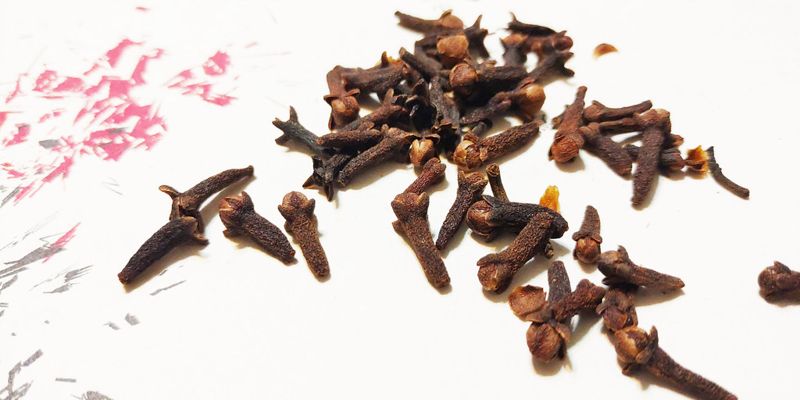 無形於妙用百搭 最重要的調味配角「丁香」