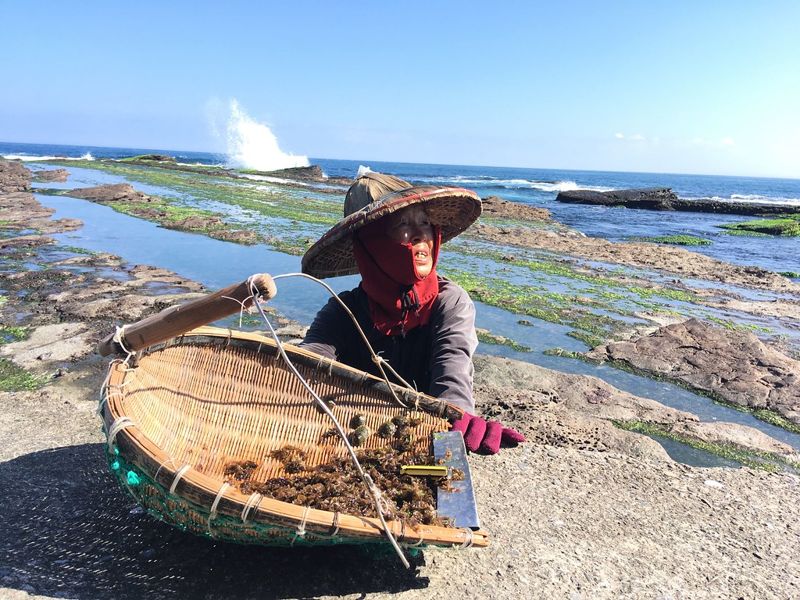 海女、石頭屋文化保存 馬崗未來 文化資產定位見分曉