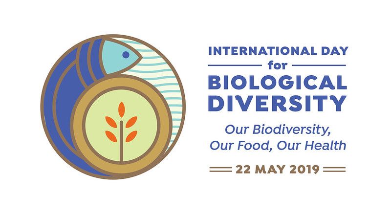 2019 國際生物多樣性日：攸關糧食與健康的生物多樣性