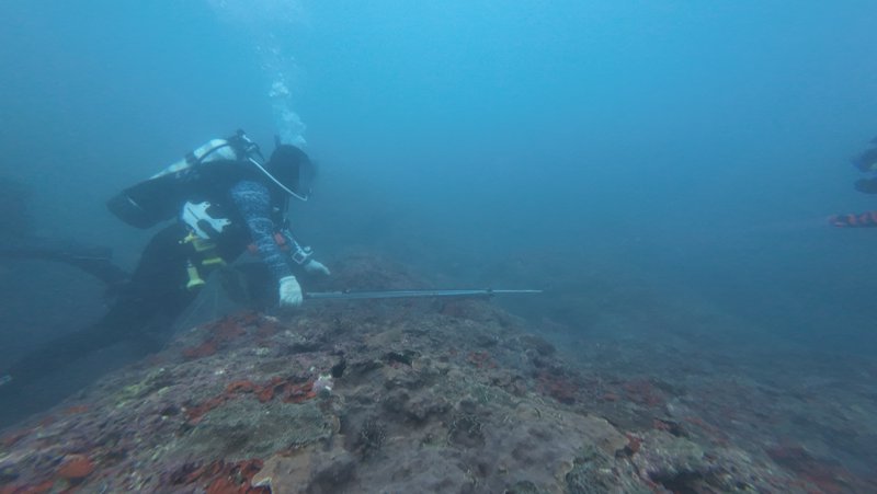 浪尖上的魚槍獵人：潛進休閒採補第一現場