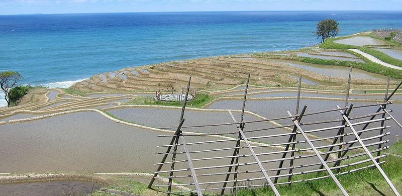 日本經驗：以全球重要農業遺產系統（GIAHS）保護里山里海