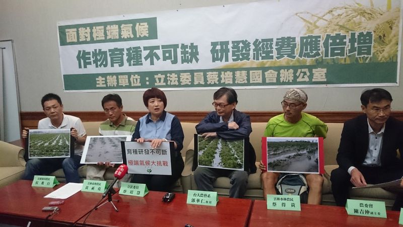 接連秋颱重挫雜糧 蔡培慧籲倍增育種經費 尋抗逆境品種