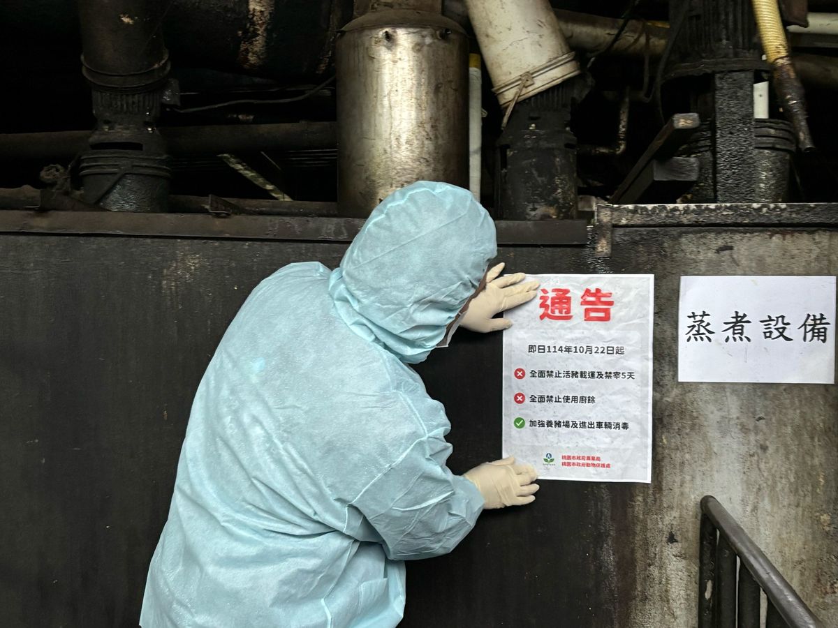 全台禁廚餘餵豬 廚餘回歸堆肥、焚化、掩埋 哪些縣市首當其衝?
