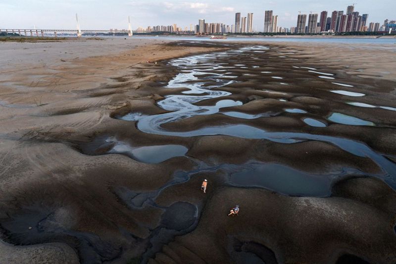 專訪墨爾本大學王耀麟：氣候變遷引起的極端天氣，不是工程調水可以解決的