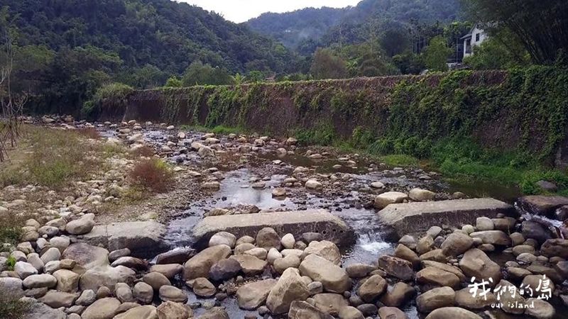 還河復野種瓜坑溪 減法工程修復野溪生態