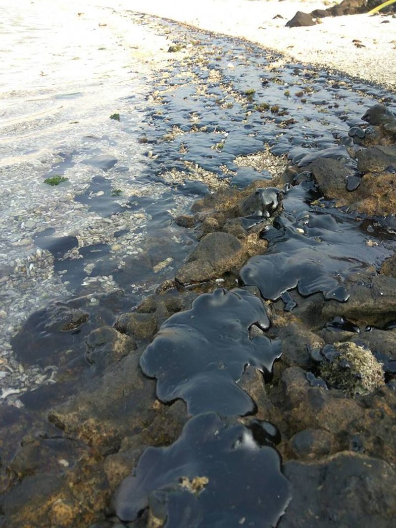 綠島生態浩劫 重油沉海底像蟒蛇 環保署連夜啟動應變機制