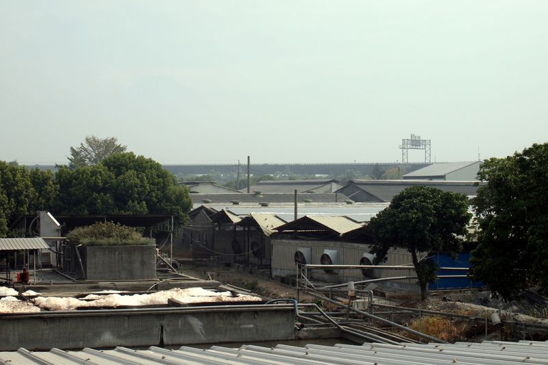 沼氣發電六年內可回本 屏縣邀畜牧業投入綠能發電