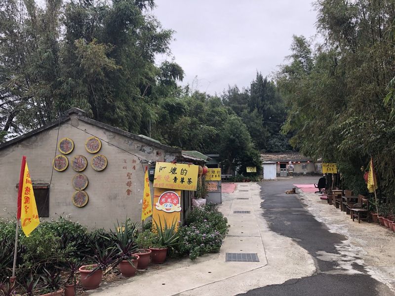 倚海共存 廢林不廢 交織生命記憶的保安林
