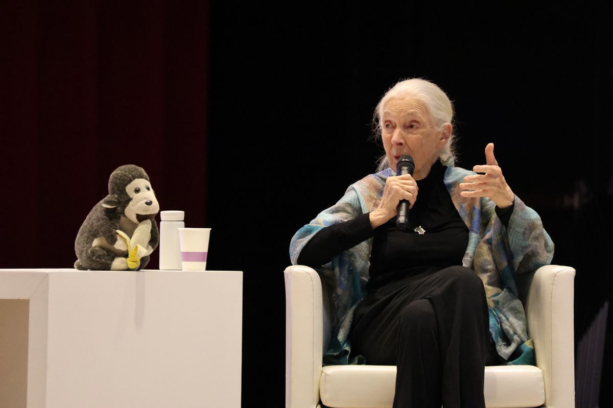 透過行動點燃希望 91歲珍古德來台演講，每人、每天都可以改變世界