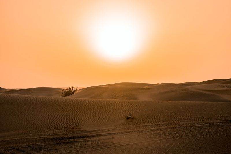 世紀末地球仍升溫2.4°C 研究顯示各國十年內減碳力度不足