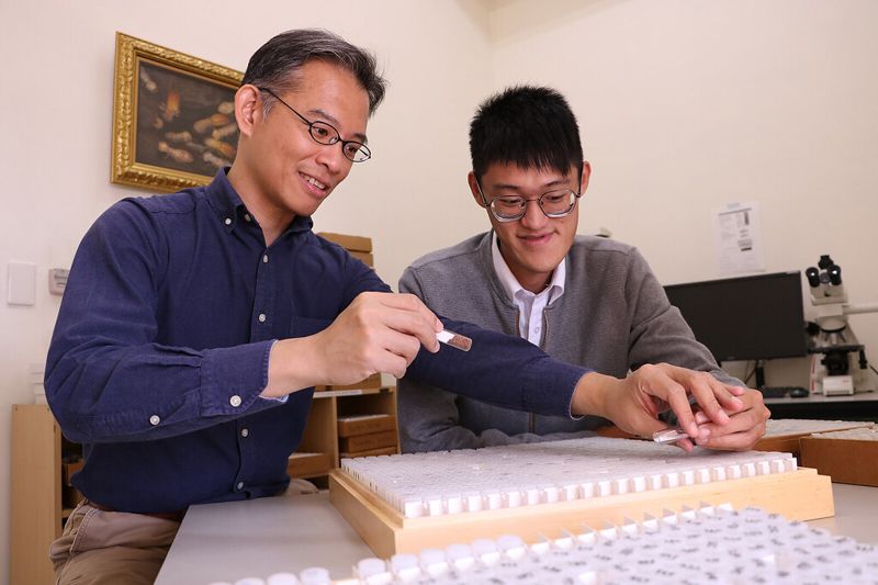油畫修復師與昆蟲學家首度跨界研究 找出畫中「蟲害」登國際期刊