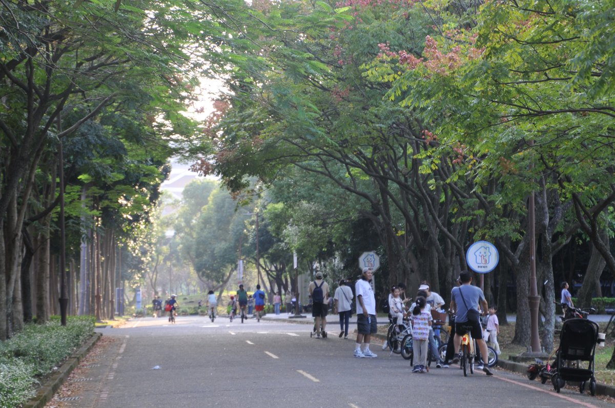 砍樹爭議有解? 都市林專法擬設綠蔭審議會 審查期間樹木視同受保護