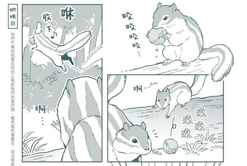 《遇見山林裡的小動物》：花栗鼠、日本獼猴跟西表山貓的小知識