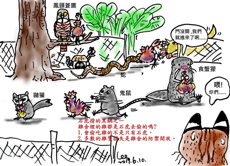 誰吃的雞？石虎揹的黑鍋之一