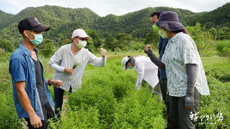 香草新經濟 非普羅旺斯不可嗎？ 找尋台灣山林的香氣