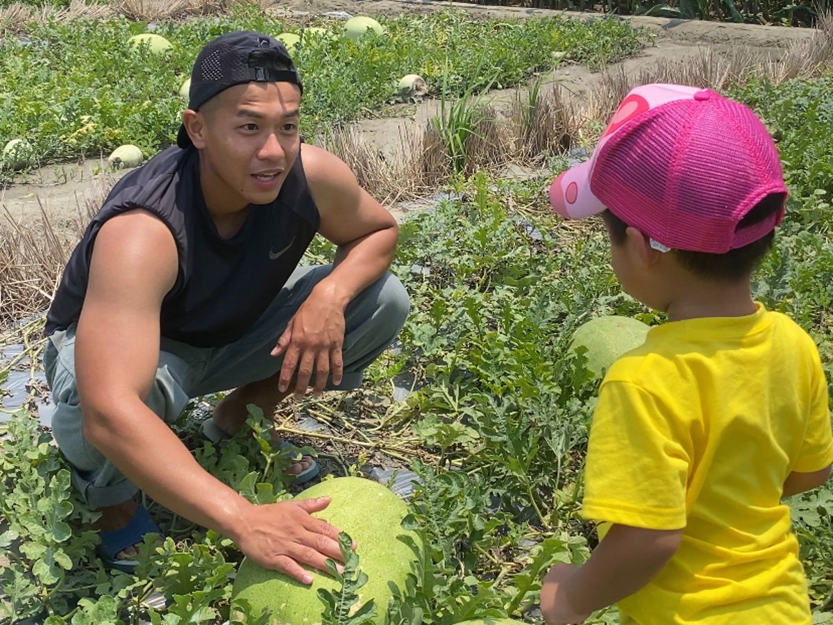 戰爭威脅、食安、農民老齡化——青農林柏賢返鄉務農的自白