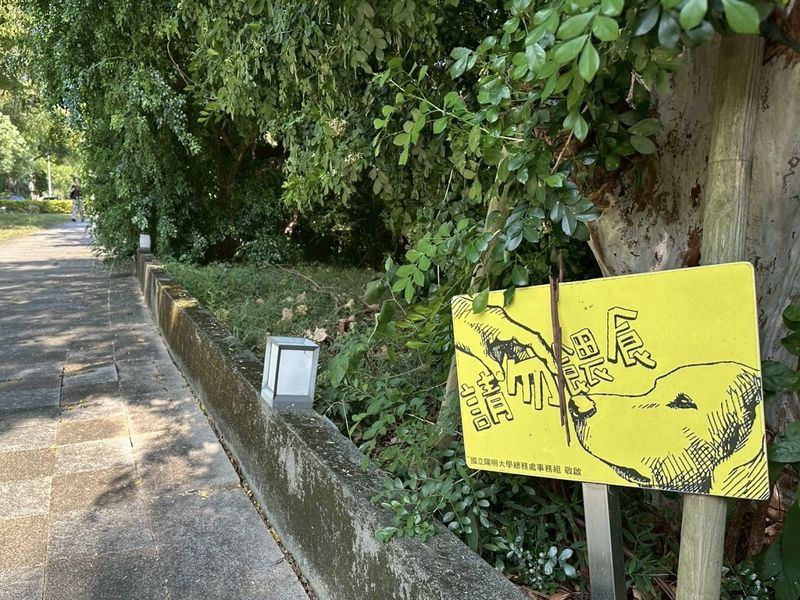 律師解析法規困境——餵食遊蕩犬可以開罰嗎？浪浪造成生命財產損害能否獲國賠？