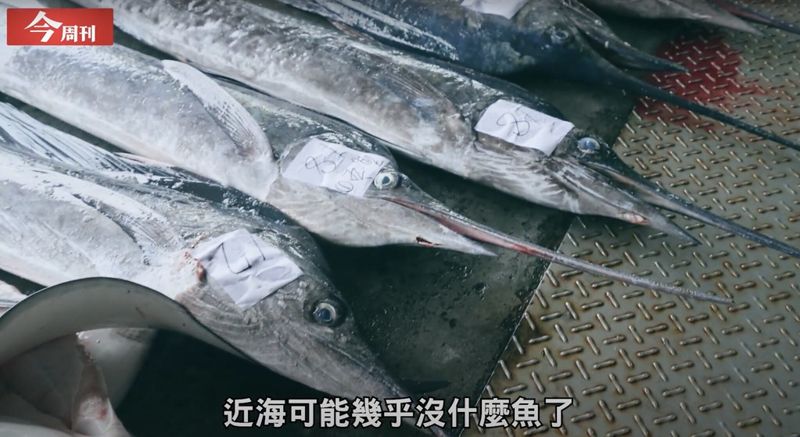 今周刊還海行動邁入第三年 不僅淨灘還「潛」進海底