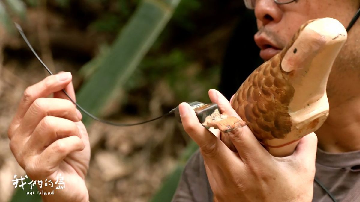 疼惜 穿山甲（三）四界的愛心守護：讓更多人認識牠