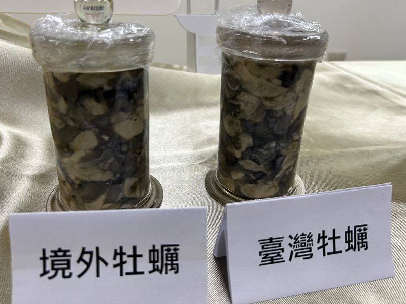 農業部新技術助「台灣蚵」驗明正身 混充者可被開罰