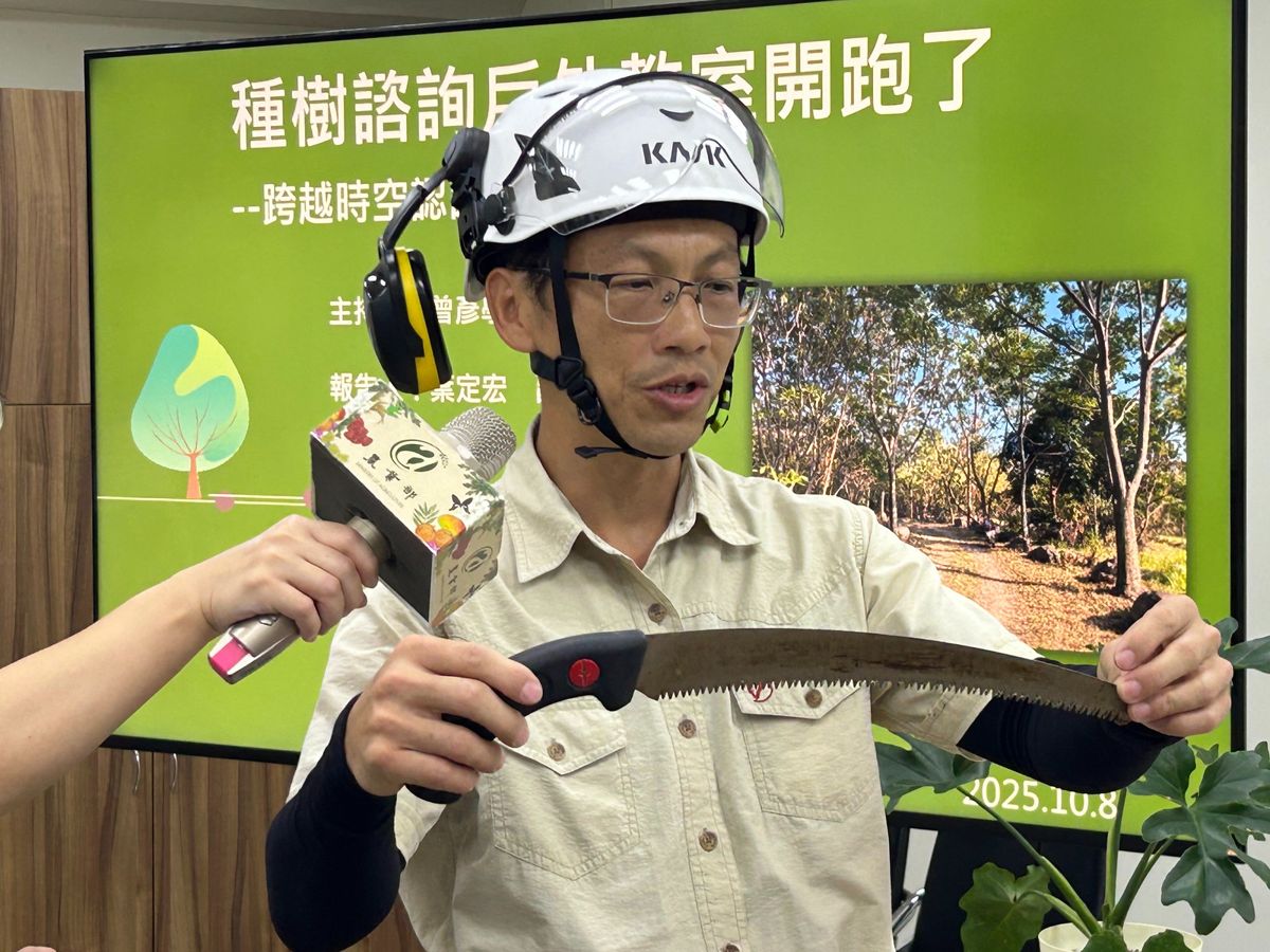 行道樹該怎麼修剪?林試所推廣單一主幹結構修剪、側枝「截枝」從樹苗做起