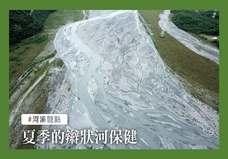 認識辮狀河：舒緩水流的動物天堂