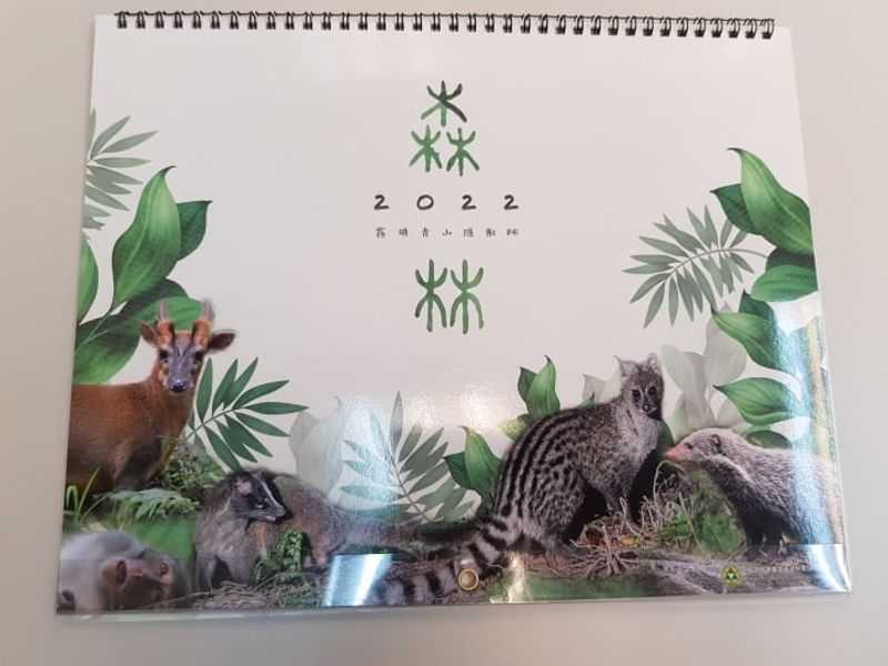 美照的代價 林試所年曆遭民眾檢舉 疑似以魚湯和蘋果誘拍麝香貓