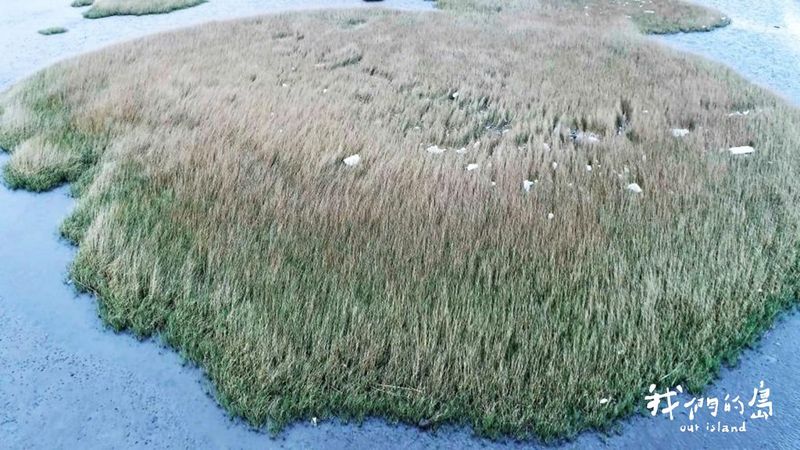 風頭水尾的「濕」落之地
