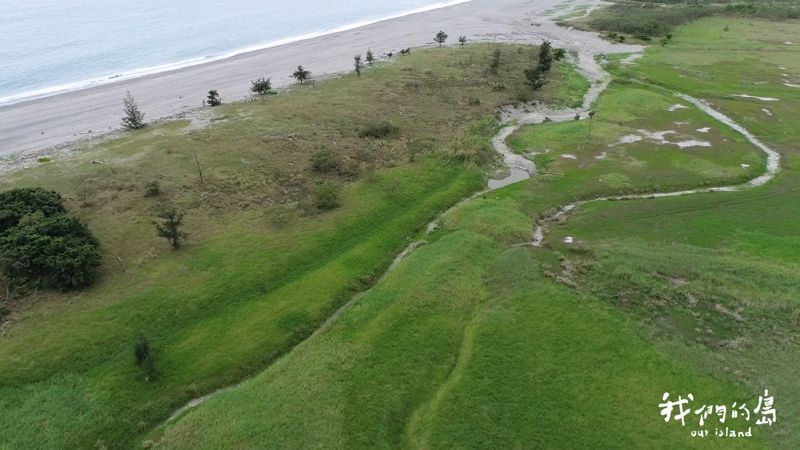牠們回不去的家 失火、缺水的知本濕地