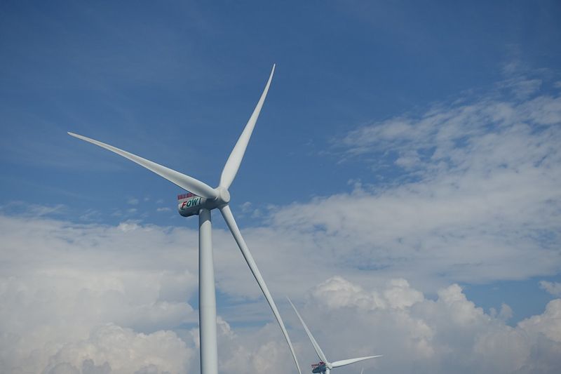 離岸風電環評快篩新制本月上路 關鍵「檢核表」能成為保護鯨豚、海龜的第一道防線嗎？