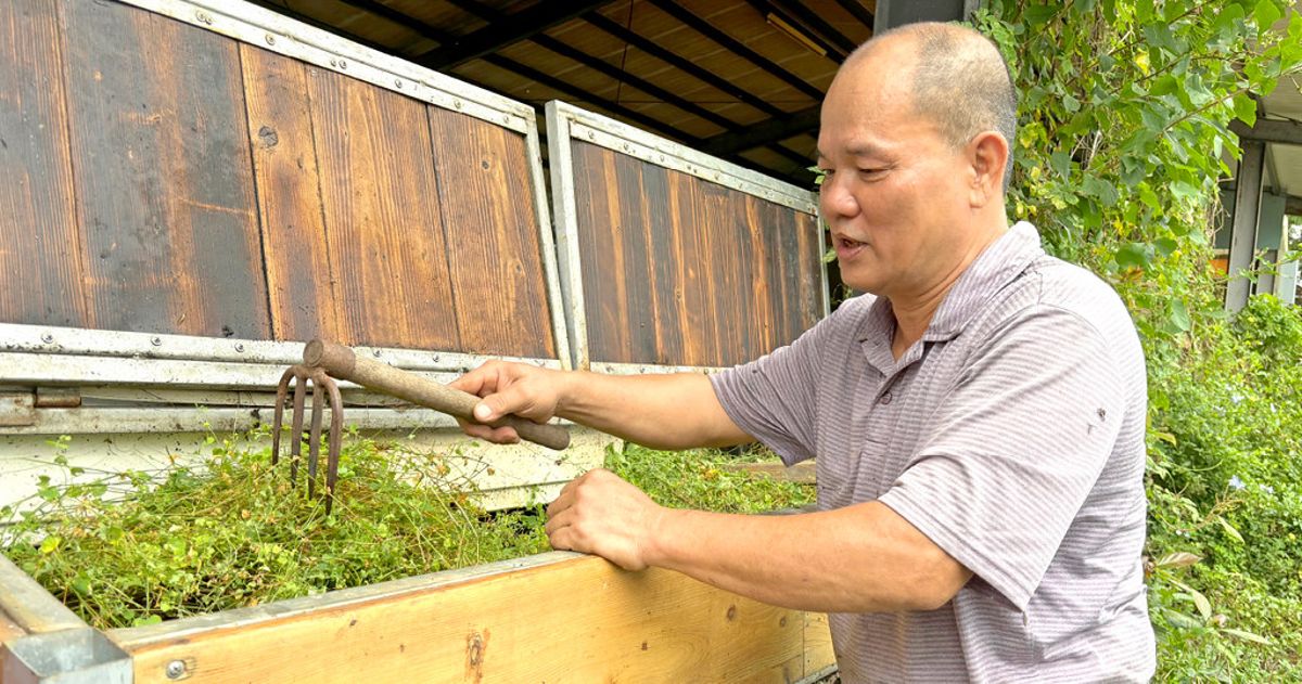 都市蚓農打造木箱生態系 蚯蚓、黑水虻幫忙分解廚餘