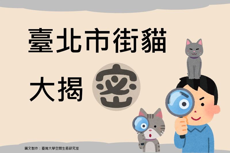 哪種花色佔比高？哪區數量最多？ 台北市街貓調查大揭密