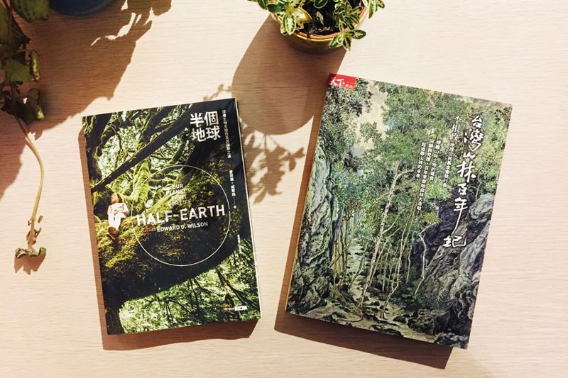 根在哪裡？尋回自我與森林、生物的連結