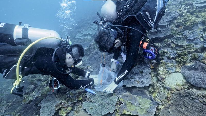 台達電分享聯合國生物多樣性大會成果 目標2025年復育1萬株珊瑚