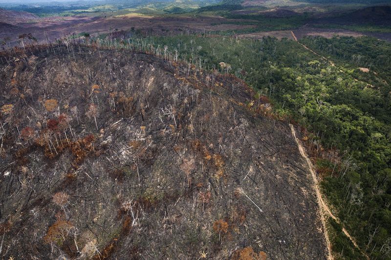 研究：全球生態完整原野地僅剩3% 有賴原民社群守護 倖免於人類破壞