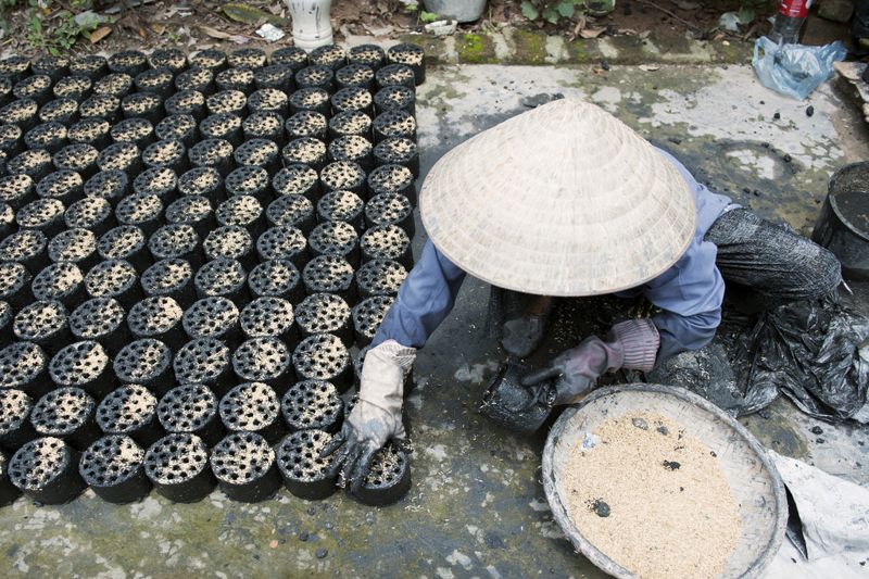 轉型低碳經濟 歐盟百億台幣助越南