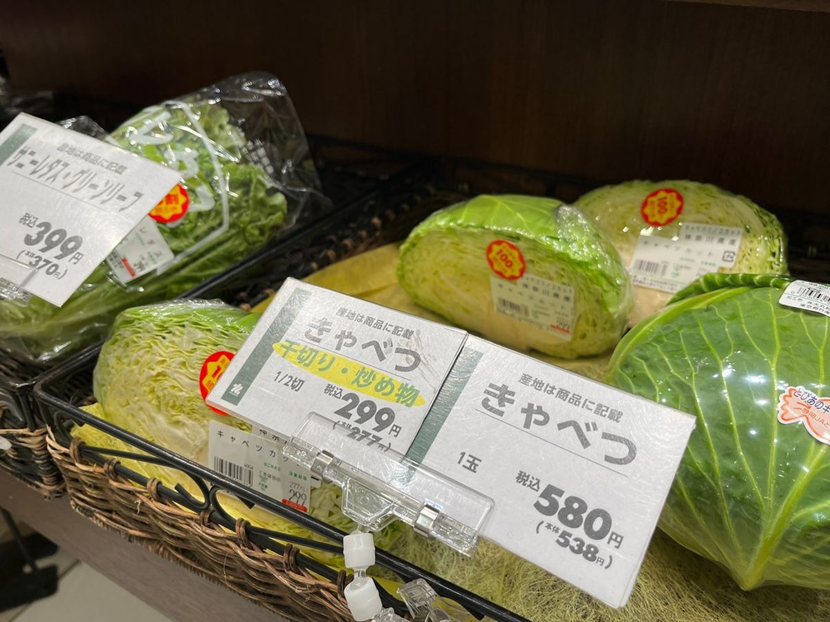 日本氣候異常高麗菜價飆漲 炸豬排店停止免費續高麗菜