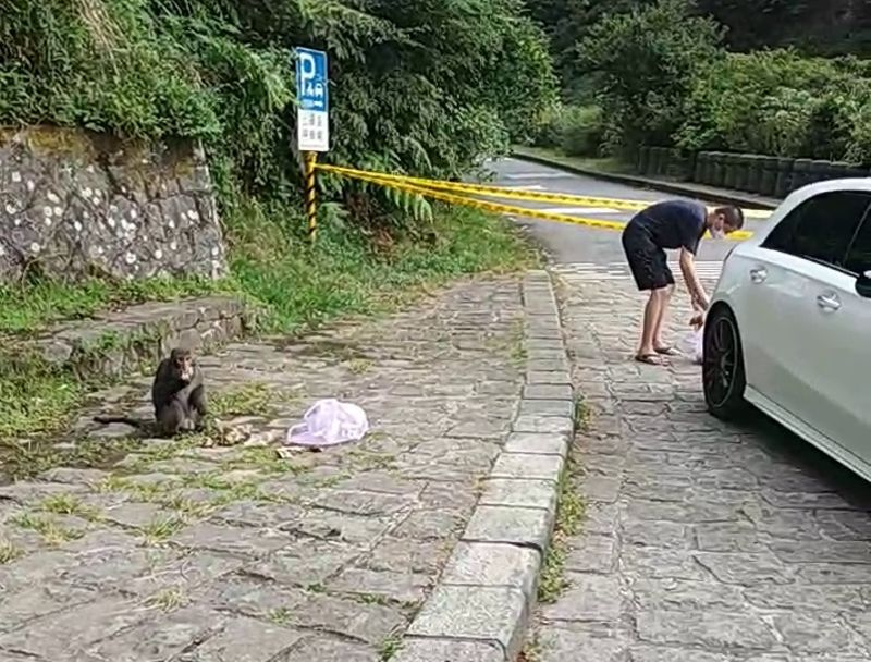 疫情下仍有民眾餵食獼猴 陽管處籲停止餵食 降低人猴衝突可能
