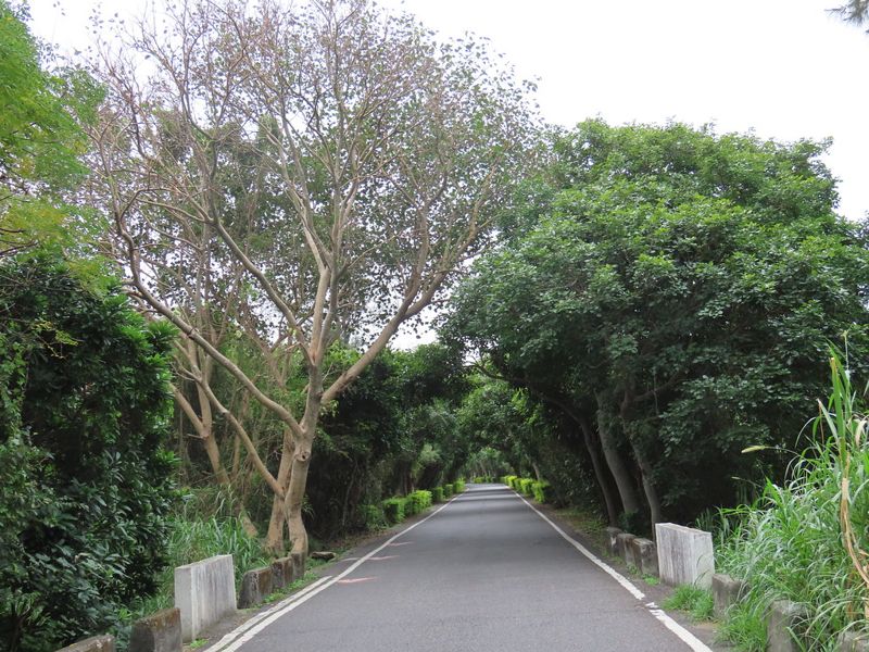 桃園新屋：曾經有鱟 眷村慢活 最美海岸自帶人文溫度