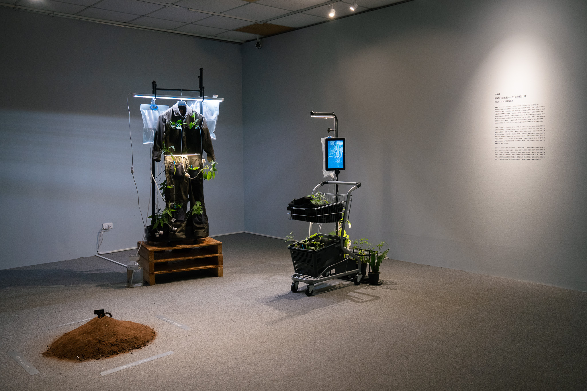 藝術家李瓊蝶於展覽中展演《原鄉不在地表》,透過身體、行為與空間感知,回應歷史創傷與人與自然的共生關係。圖片來源:桃園市原住民族文化會館 提供