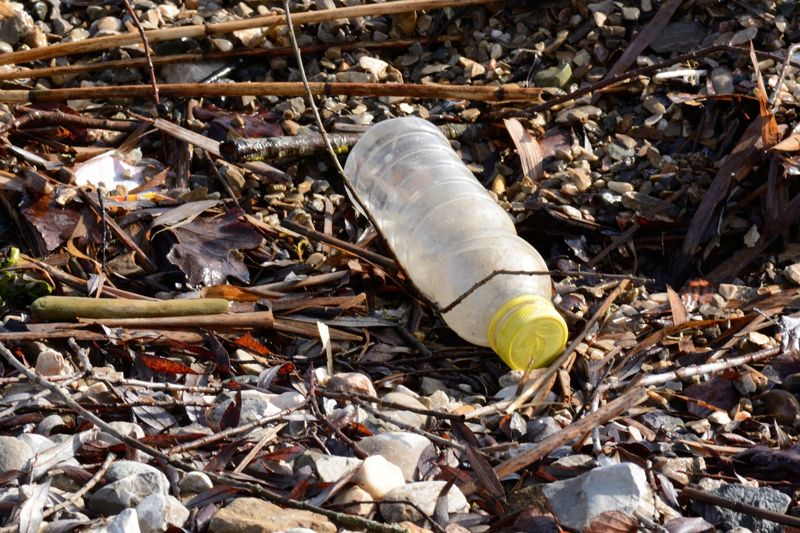 監察院塑膠微粒污染調查：自來水、食品容器雙重風險未把關