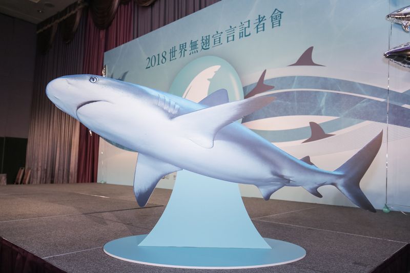國人保育知識增進 魚翅消費大幅降低